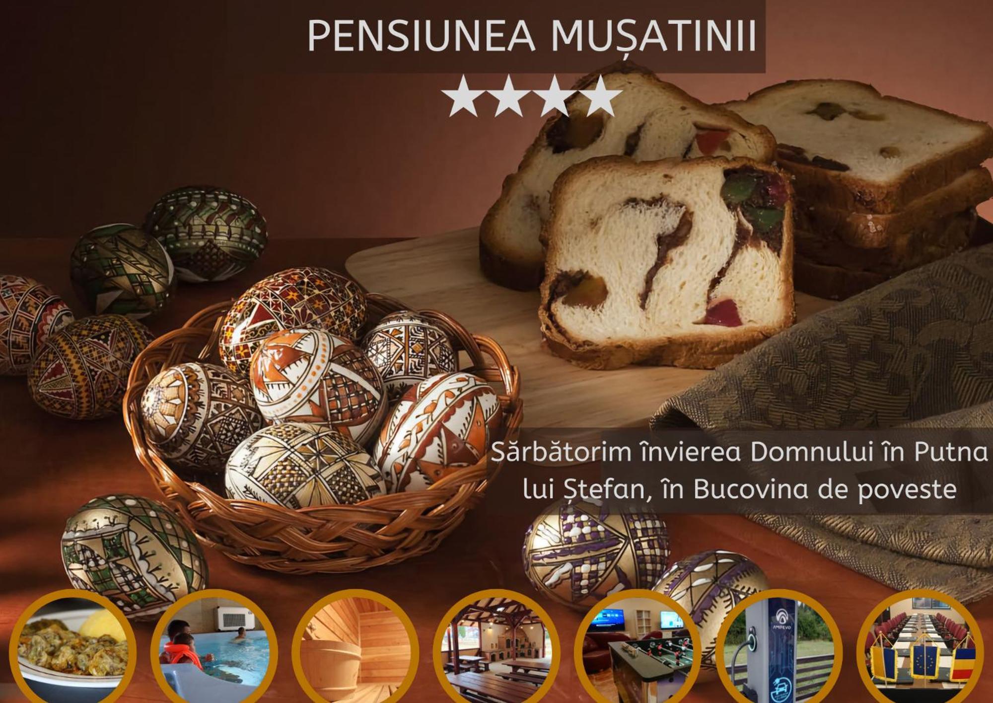 פוטנה Pensiunea Musatinii מראה חיצוני תמונה